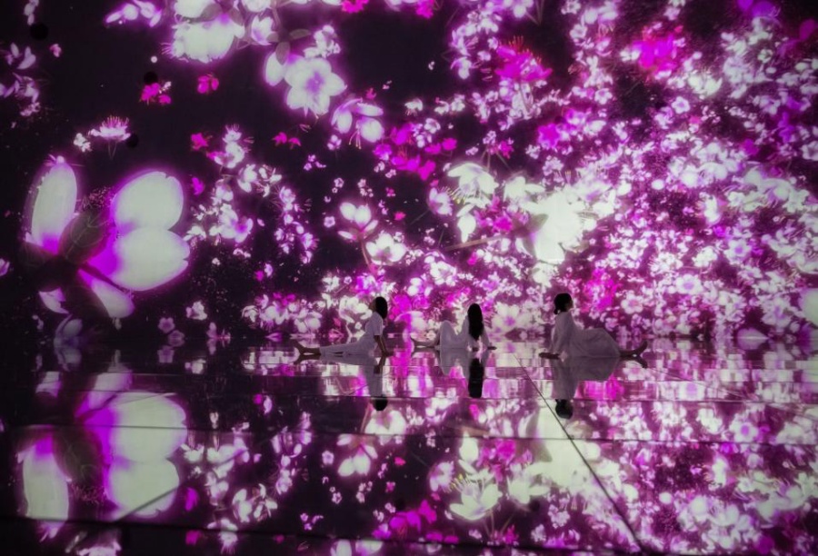 東京行程-東京景點-teamlab tokyo