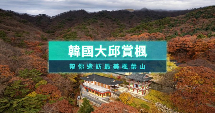 大邱賞楓景點推薦》2025韓國大邱楓葉＆銀杏景點介紹