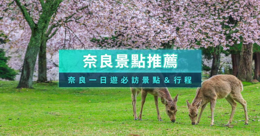 奈良景點推薦！日本奈良一日遊必去景點/交通路線/地圖整理
