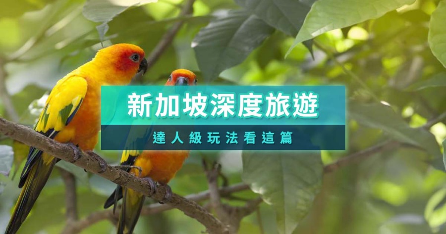 新加坡深度旅遊》2025編輯精選新加坡新玩法&amp;隱藏景點整理
