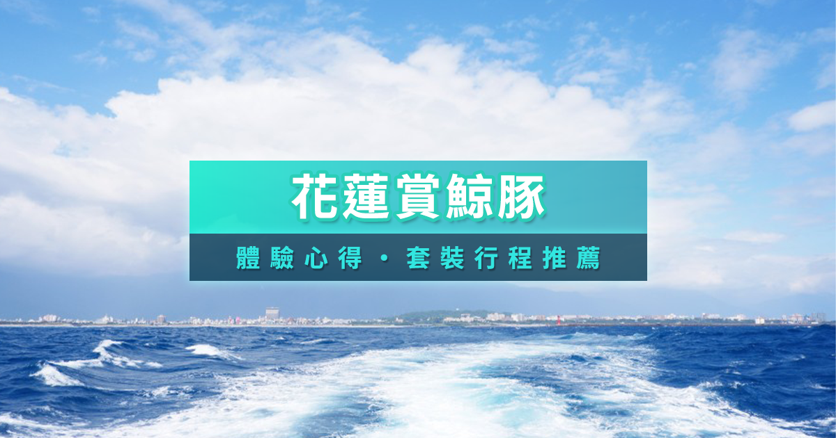 花蓮賞鯨推薦》2025最佳時間月份/套裝行程費用/心得分享