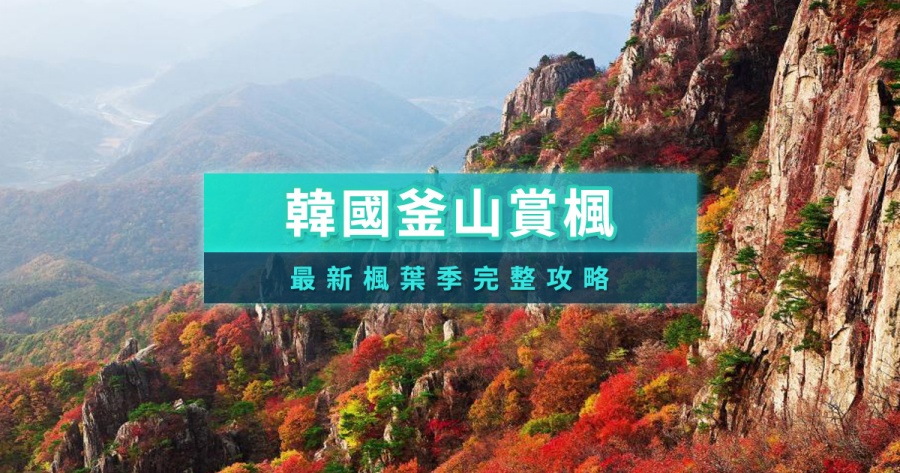 釜山賞楓景點2025》釜山楓葉時間整理/大邱慶州一日遊賞楓團行程