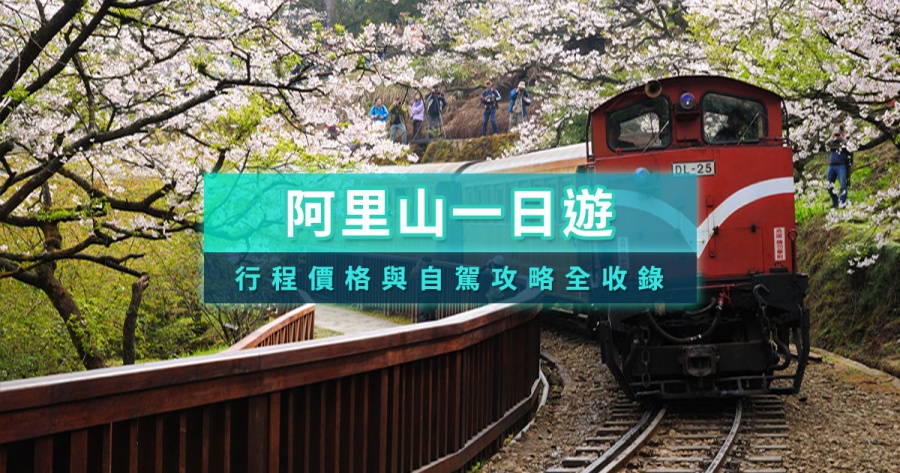 阿里山櫻花季》2026賞櫻時間幾月/花況怎麼樣/品種是什麼/小火車攻略