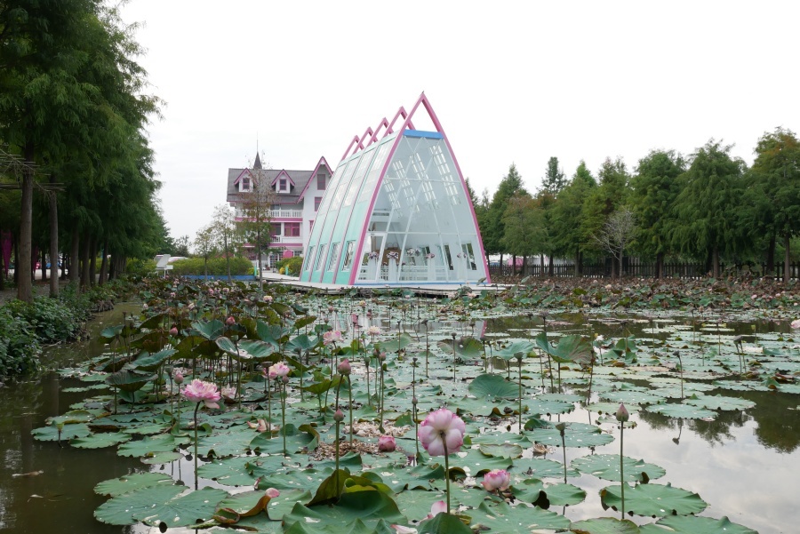 雲林親子景點 粉紅泡泡