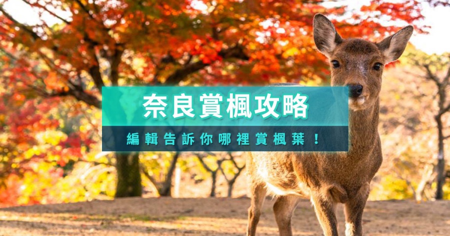 日本奈良賞楓攻略》帶你到奈良吉野山、談山神社追最美楓葉！