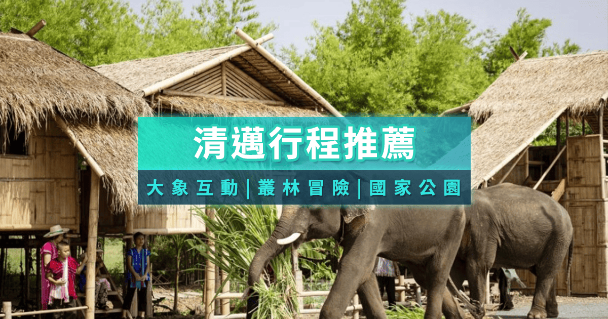 清邁行程這樣規劃！2026泰國國喪旅遊注意事項/自由行大象體驗/清邁近郊