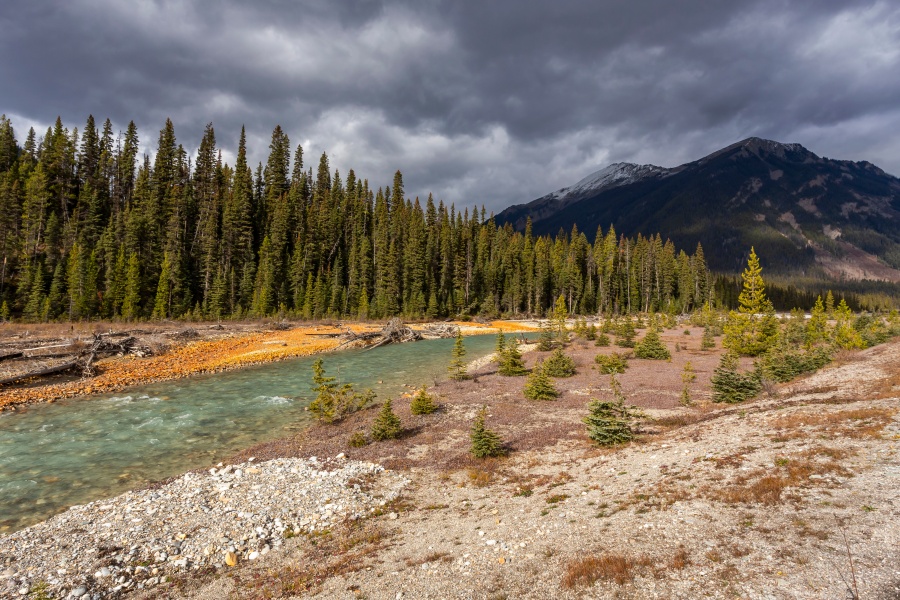 加拿大國家公園 庫特尼國家公園