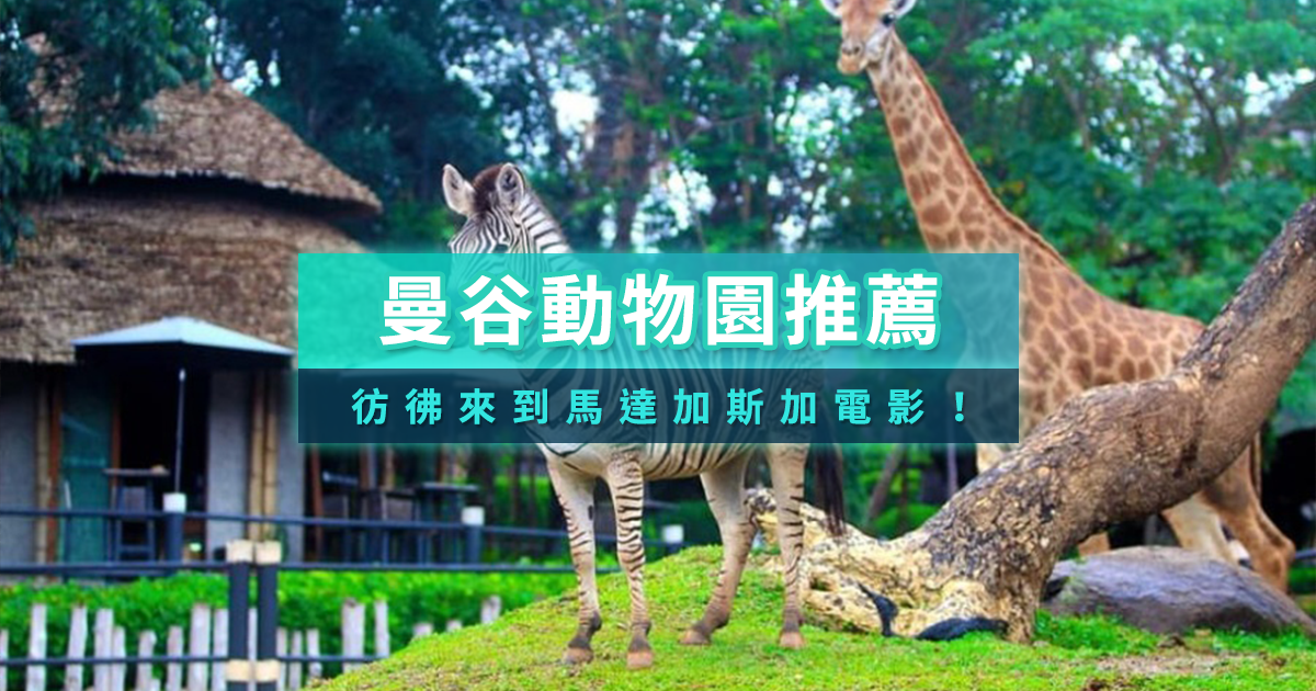 曼谷動物園推薦2025》泰國5家野生動物園門票/交通/包車攻略