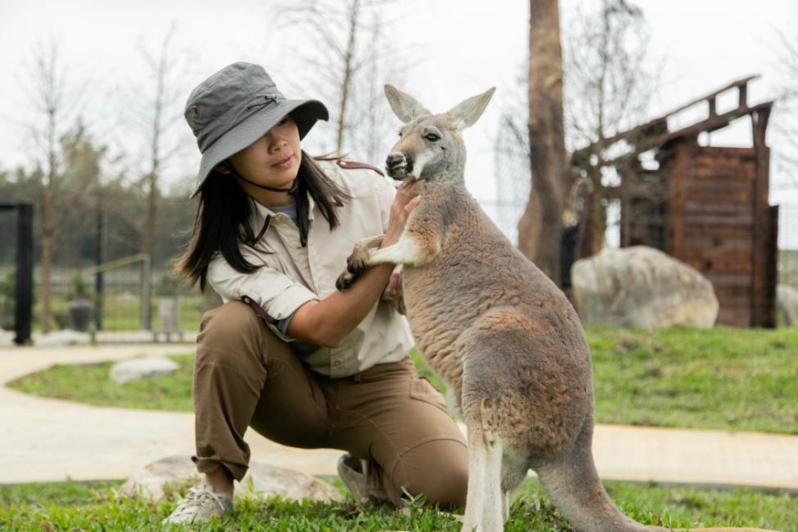 全台動物農場