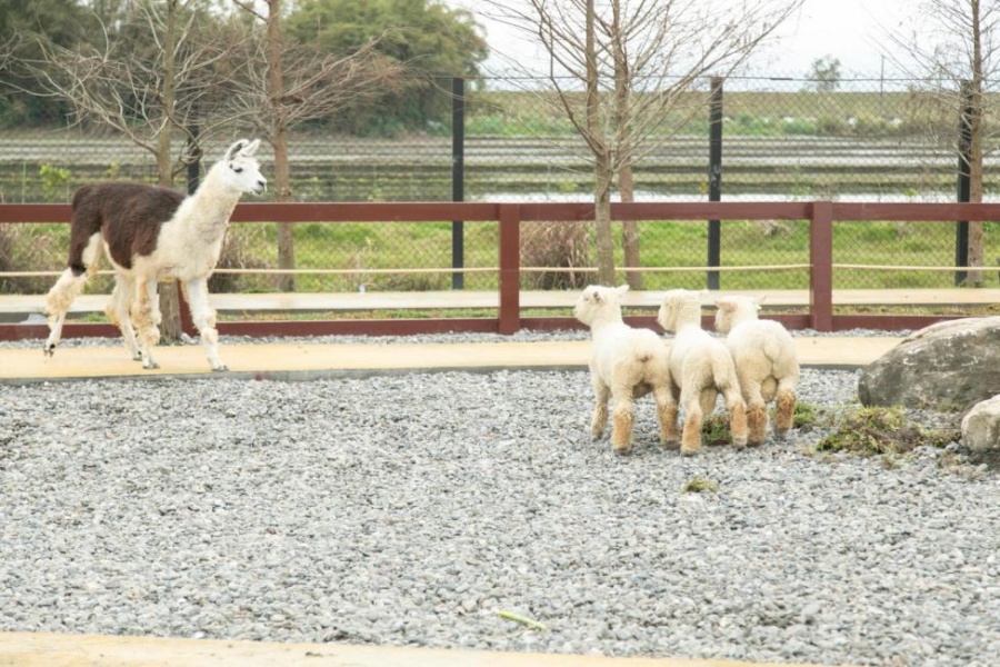 KK圖_蘭陽動植物王國7