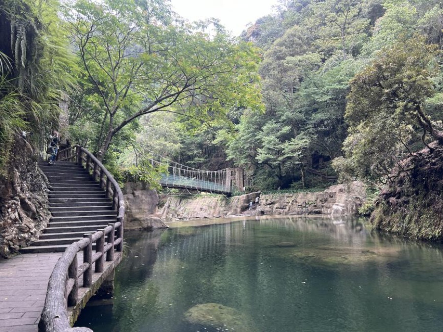 2026杉林溪一日遊怎麼玩》賞楓/賞螢一日遊&台北/台南/高雄出發行程推薦 溪頭自然教育園區