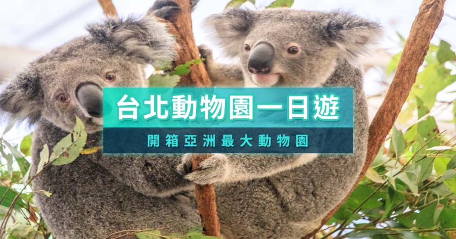 台北木柵動物園》門票/開放營業時間/停車場/地圖，限定夜間開放星光票！