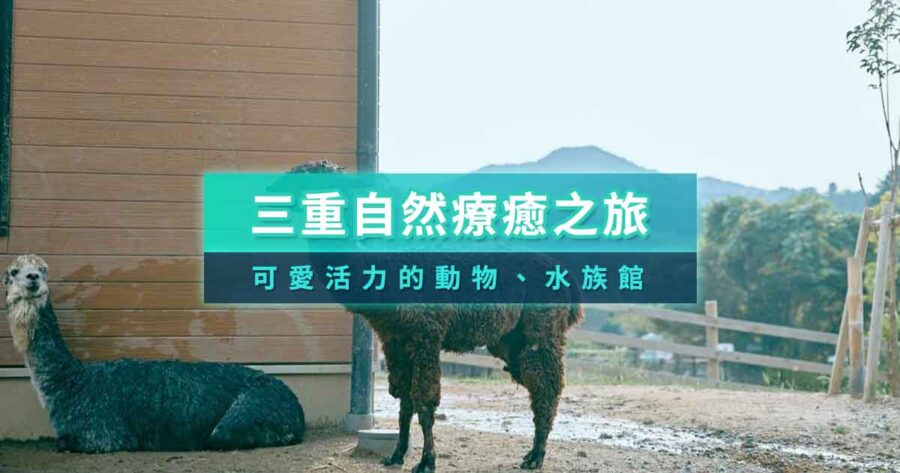 接觸三重縣溫柔的大自然、感受生命活力的靜修之旅