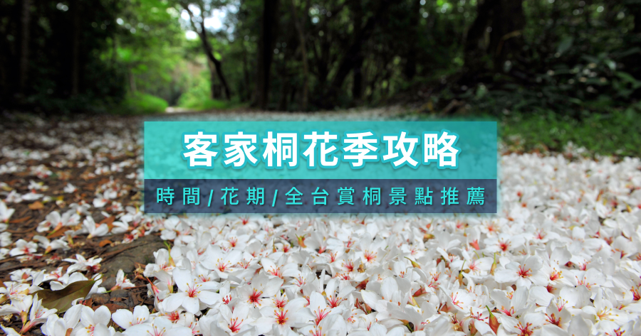 客家桐花祭攻略》2026油桐花季節時間/花期/苗栗新竹全台景點推薦