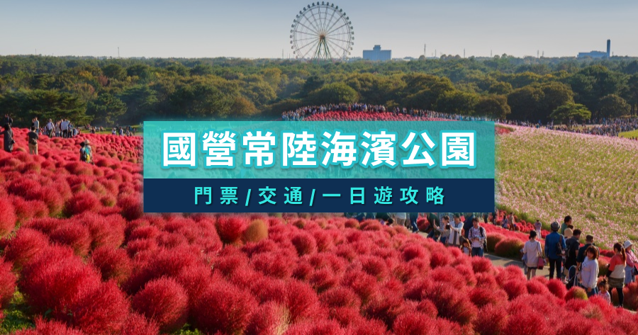 國營常陸海濱公園》茨城日立海濱公園粉蝶花/掃帚草/門票/交通/一日遊