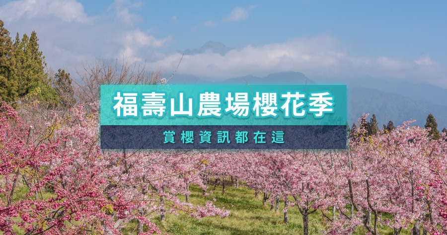 福壽山農場櫻花季2026》千櫻園賞櫻指南、花開時間預測、門票活動整理