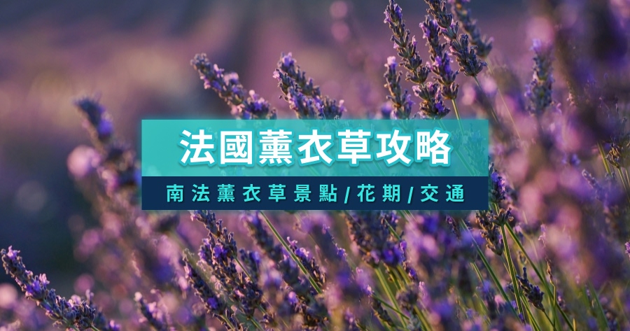 法國薰衣草攻略》人生必訪南法薰衣草勝地/旅遊景點總整理！