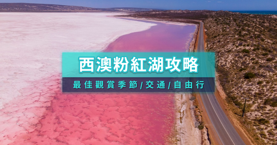 西澳粉紅湖自由行攻略》伯斯出發玩粉紅湖！最佳季節/交通/一日遊/旅行團推薦