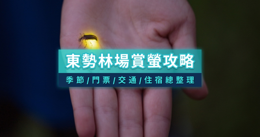東勢林場螢火蟲2026》螢火蟲現況/季節/門票/交通/住宿總整理