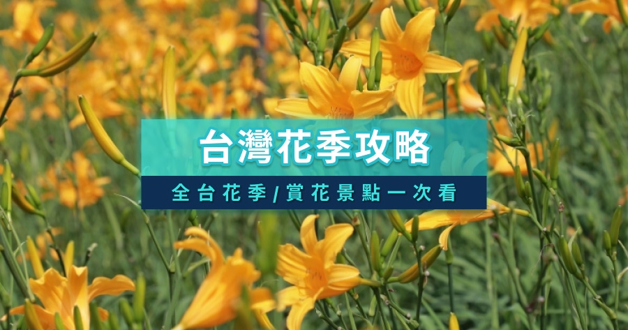 台灣花季攻略》台灣花季時間/賞花景點/1-12月全台花期懶人包
