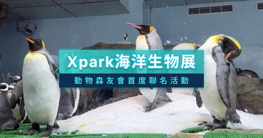 台灣首度聯名！Xpark x《集合啦！動物森友會》海洋生物互動展開箱
