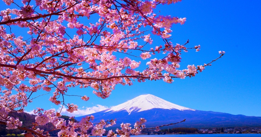 富士山四季攻略》推薦月份/賞雪時間/各月重要活動總整理