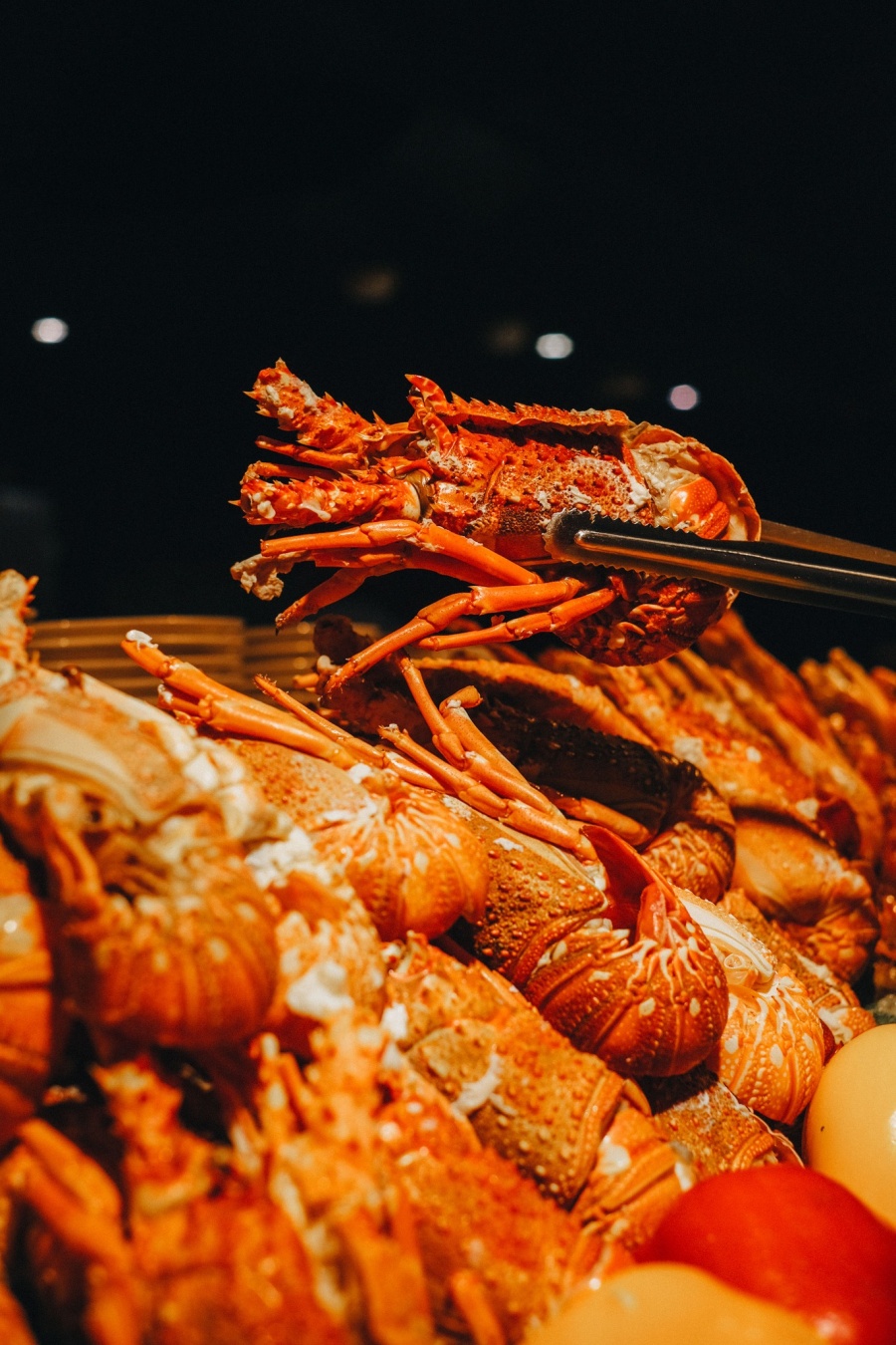 277520389 3383385421902503 7214626993574085102 n