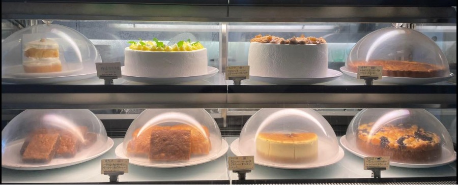 279021851 5241985439157358 5546522765036116243 n