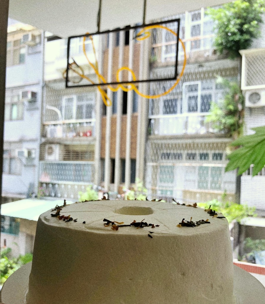 286753886 5379064112116156 117057596083524897 n