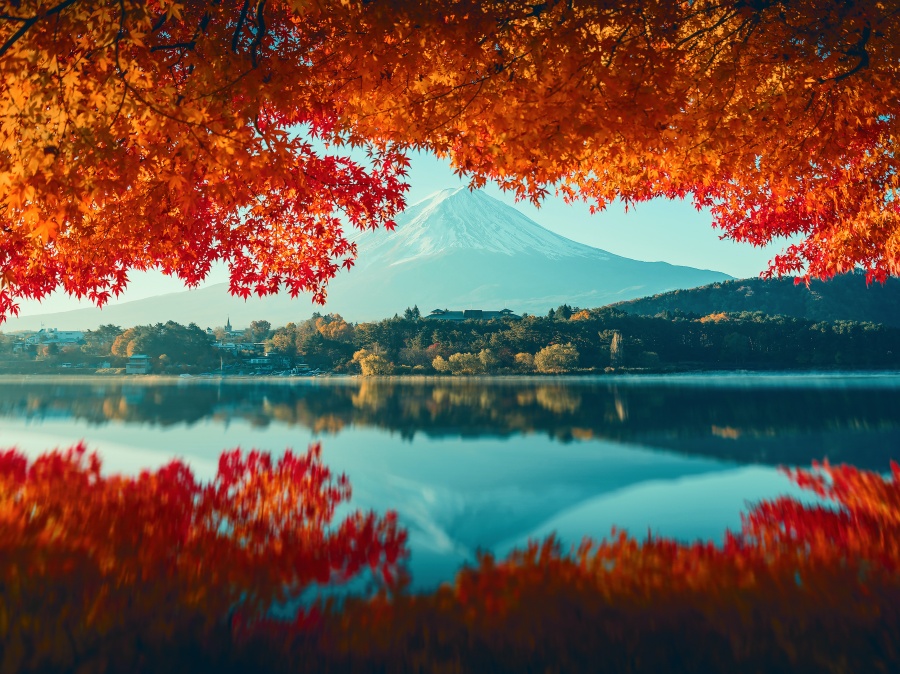 日本風景5 Amazon.co.jp: 清水信行『古都春宵(P10号)』日本画 風景画