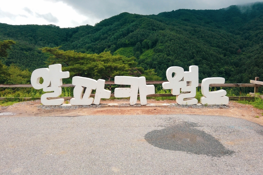 韓國景點-草泥馬樂園-打卡景點