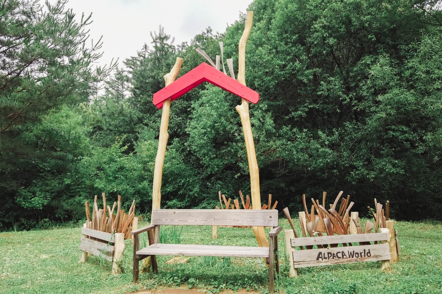 韓國景點-草泥馬樂園-園區造景