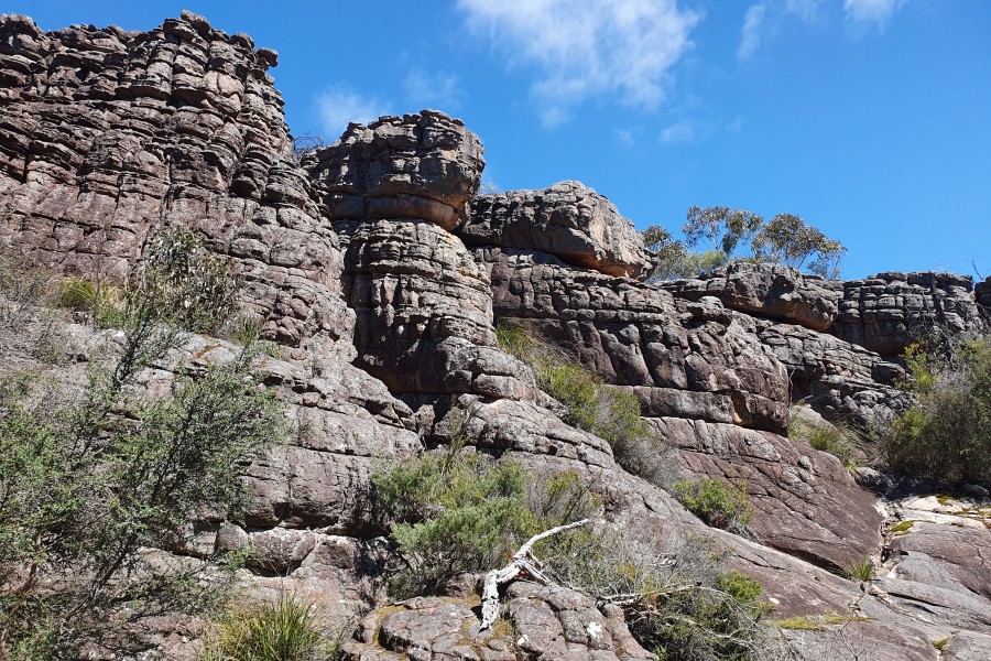 batch 20190930 135217