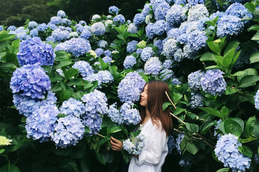 batch 42CAD6BB 09E6 4C58 B4FE 8BE03F80682B