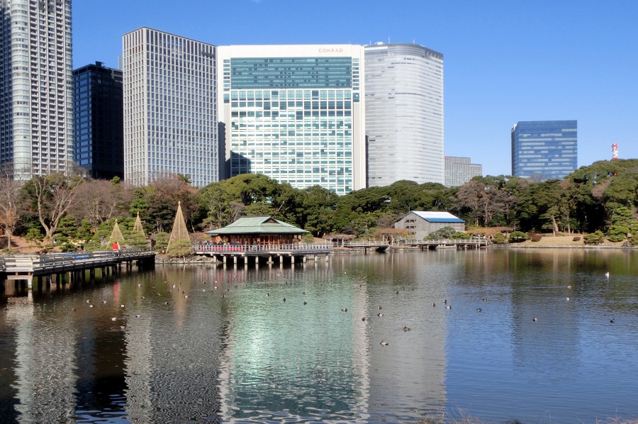 銀座-東京銀座-浜離宮恩賜庭園