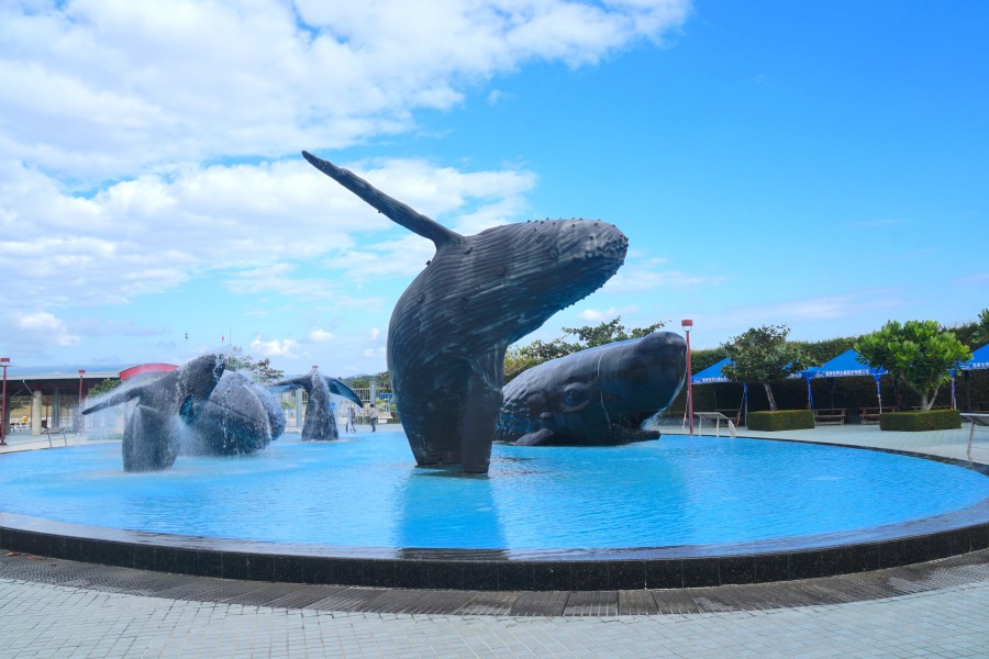 國立海洋生物博物館實拍
