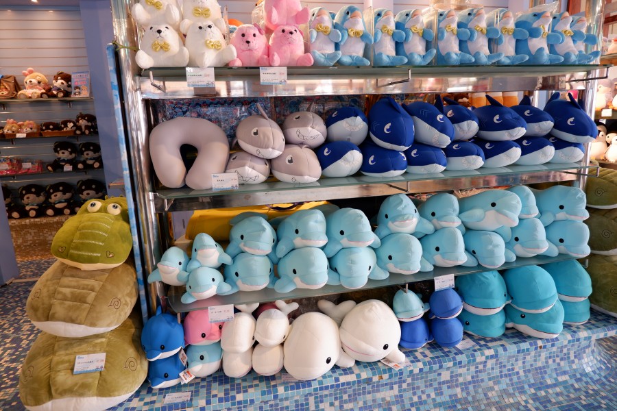 花蓮海洋公園紀念品