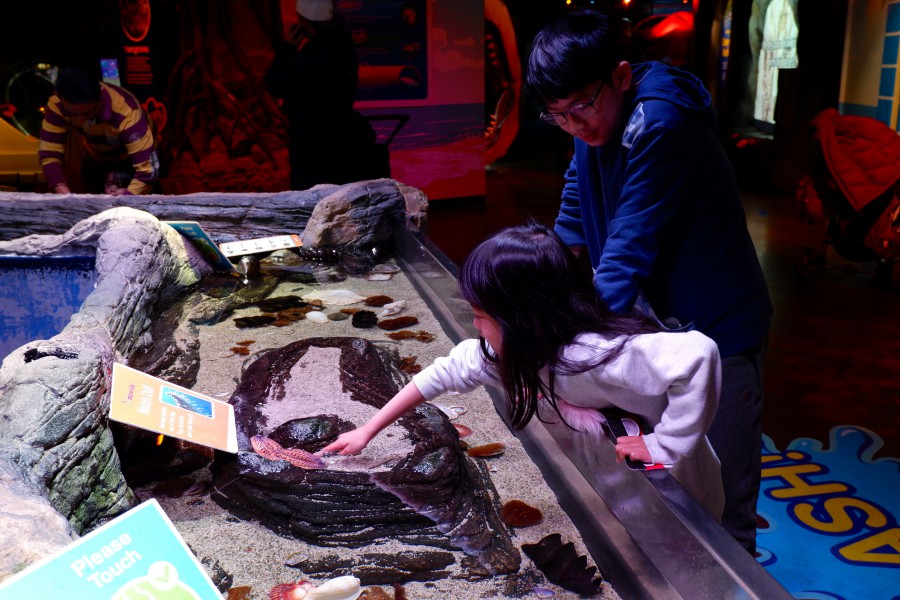 SEALIFE墨爾本水族館