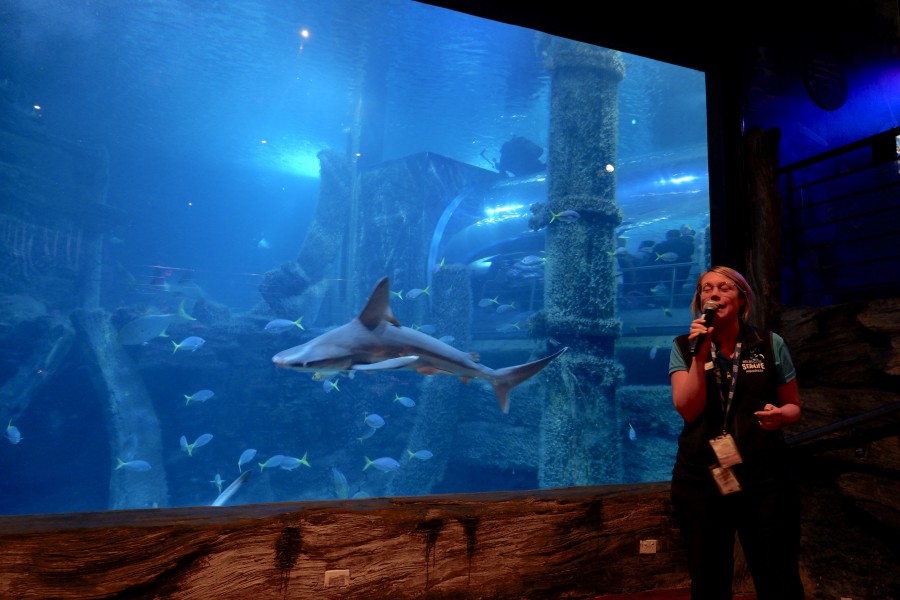 SEALIFE墨爾本水族館