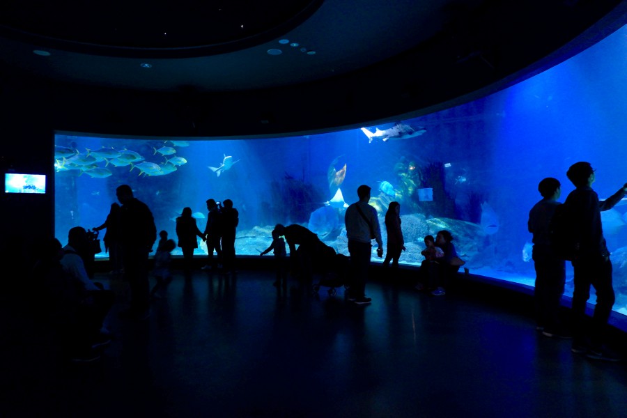 SEALIFE墨爾本水族館