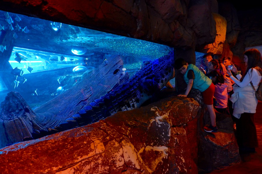 SEALIFE墨爾本水族館