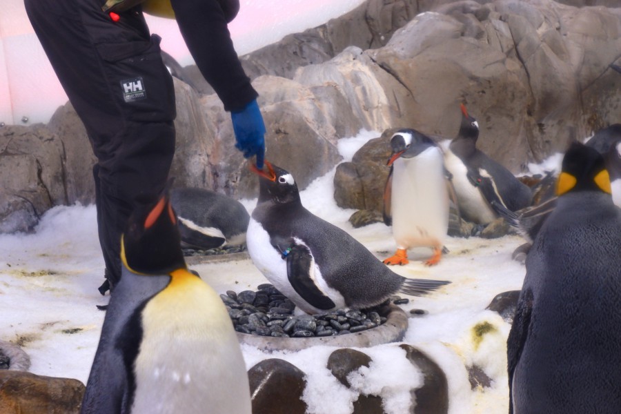 SEALIFE墨爾本水族館