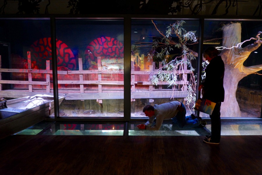 SEALIFE墨爾本水族館