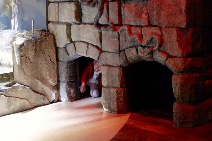 SEALIFE墨爾本水族館