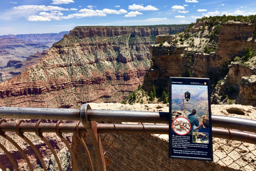 batch Mather Point02