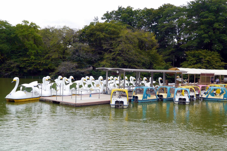 吉祥寺-一日遊-井之頭公園-景點