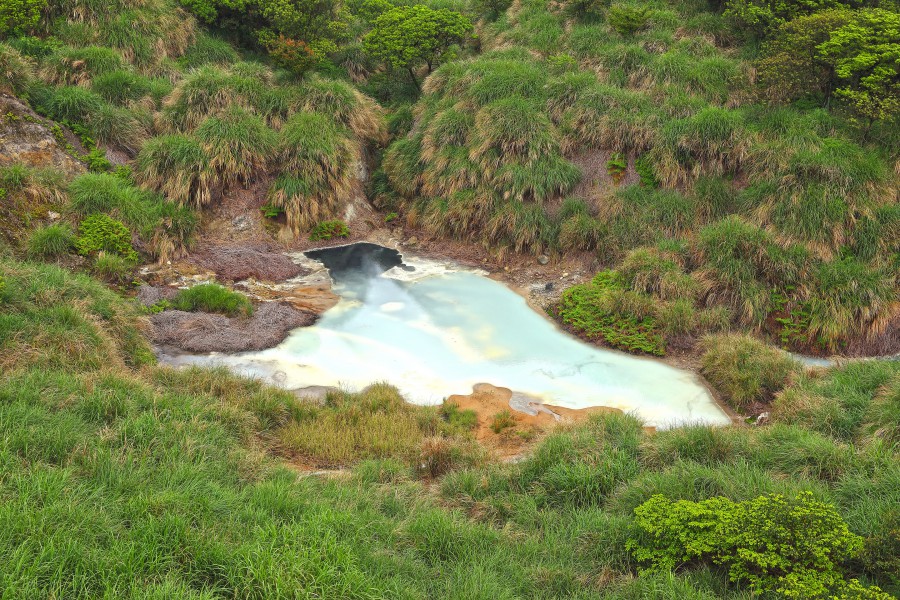 陽明山景點/陽明山花季/陽明山交通