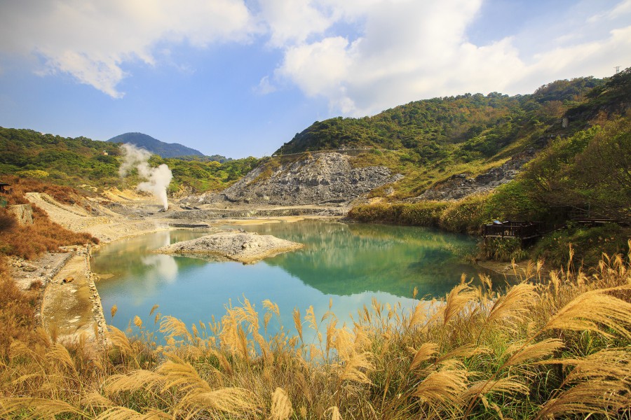 陽明山景點/陽明山花季/陽明山交通