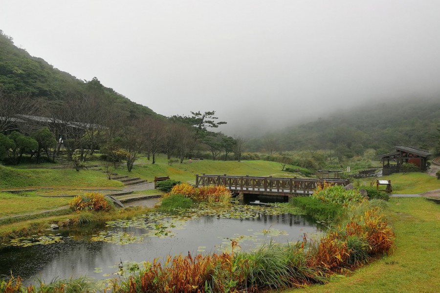 陽明山景點/陽明山花季/陽明山交通
