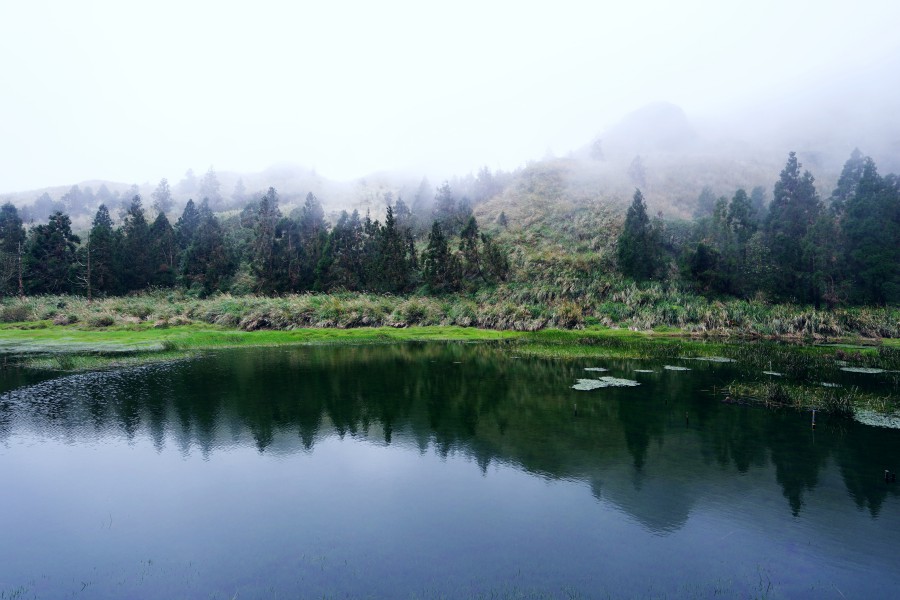 陽明山景點/陽明山花季/陽明山交通